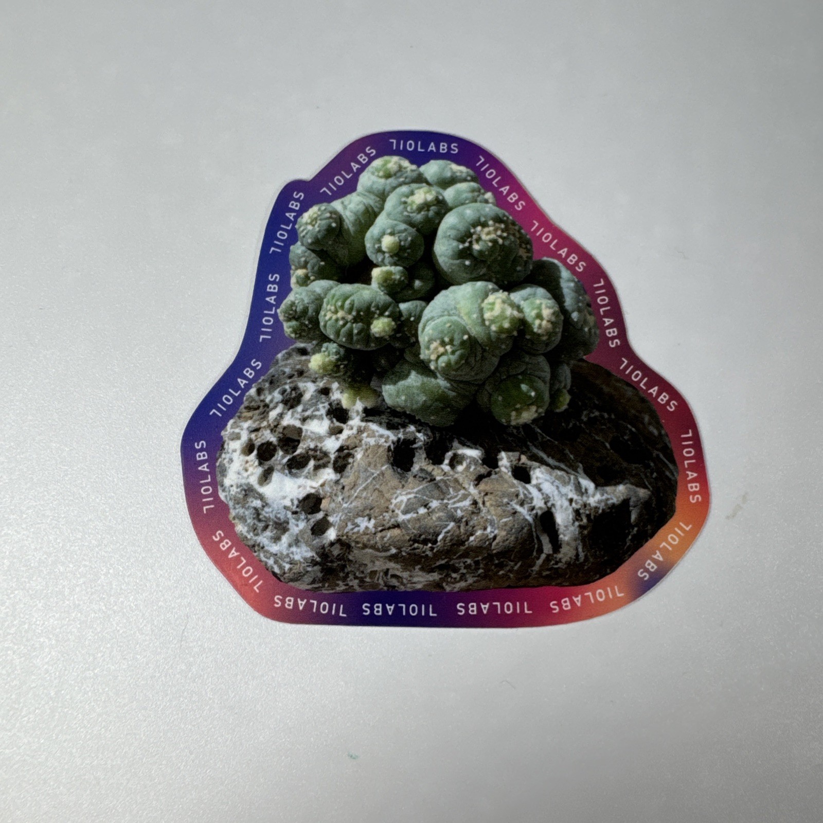 710 LABS – 710Labs Peyote Sticker – 3×3 Inches