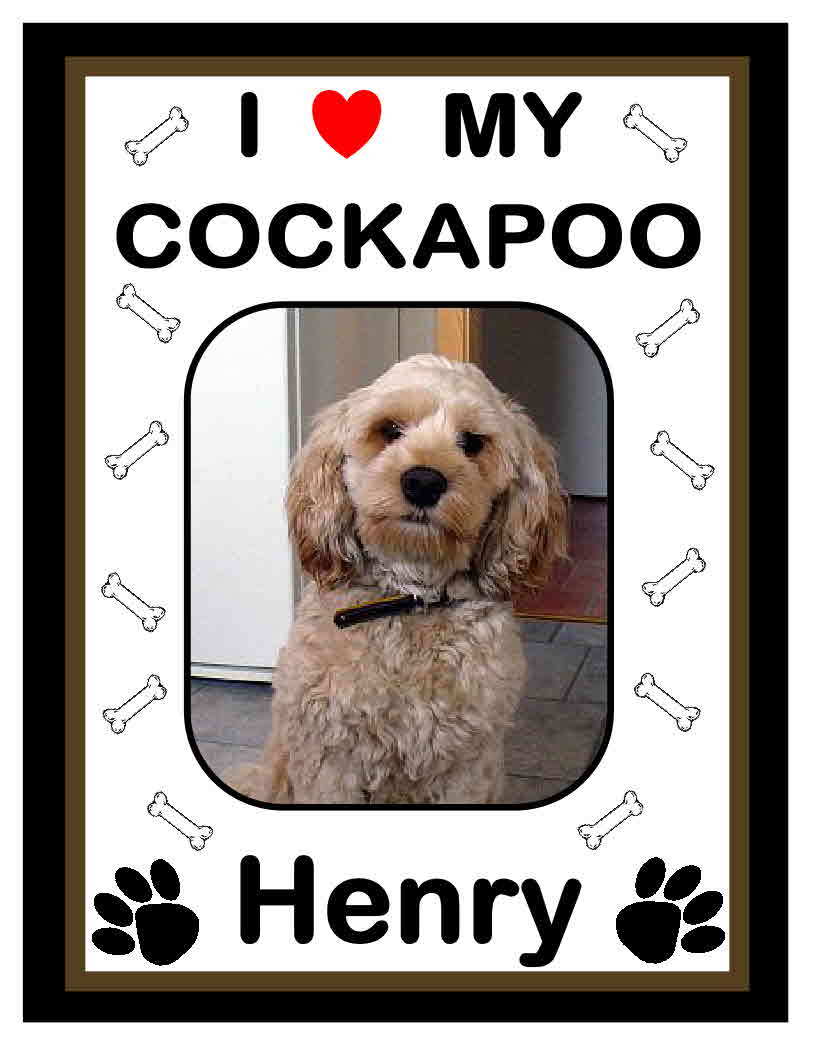 PERSONALIZED COCKAPOO PHOTO MAGNET