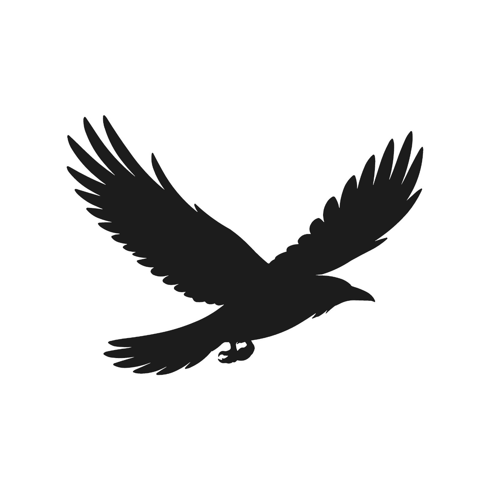 Raven Flying Wildlife Bird Vinyl Decal Window Wilf birds life Laptop Sticker