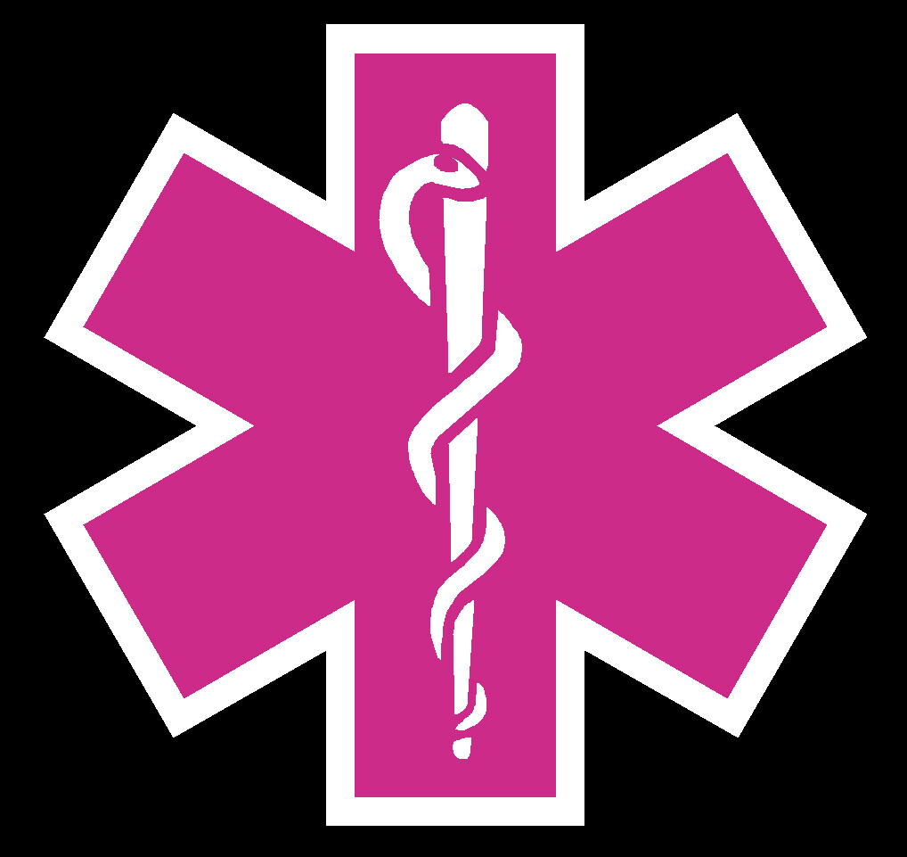 Hot Pink Reflective Vinyl Star Of Life Car Fire Helmet Decal EMT multiple size