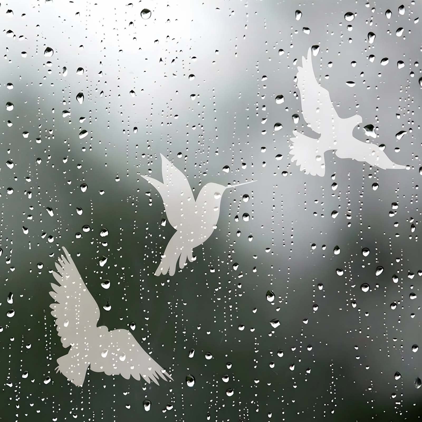 16 Pieces Window Decals to Prevent Bird Strikes, 11.8” x 8.6”, Clear