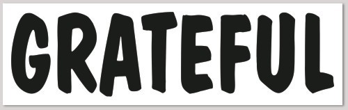 GRATEFUL DEAD Grateful *NEW* Vinyl Bumper Sticker 10" x 3"