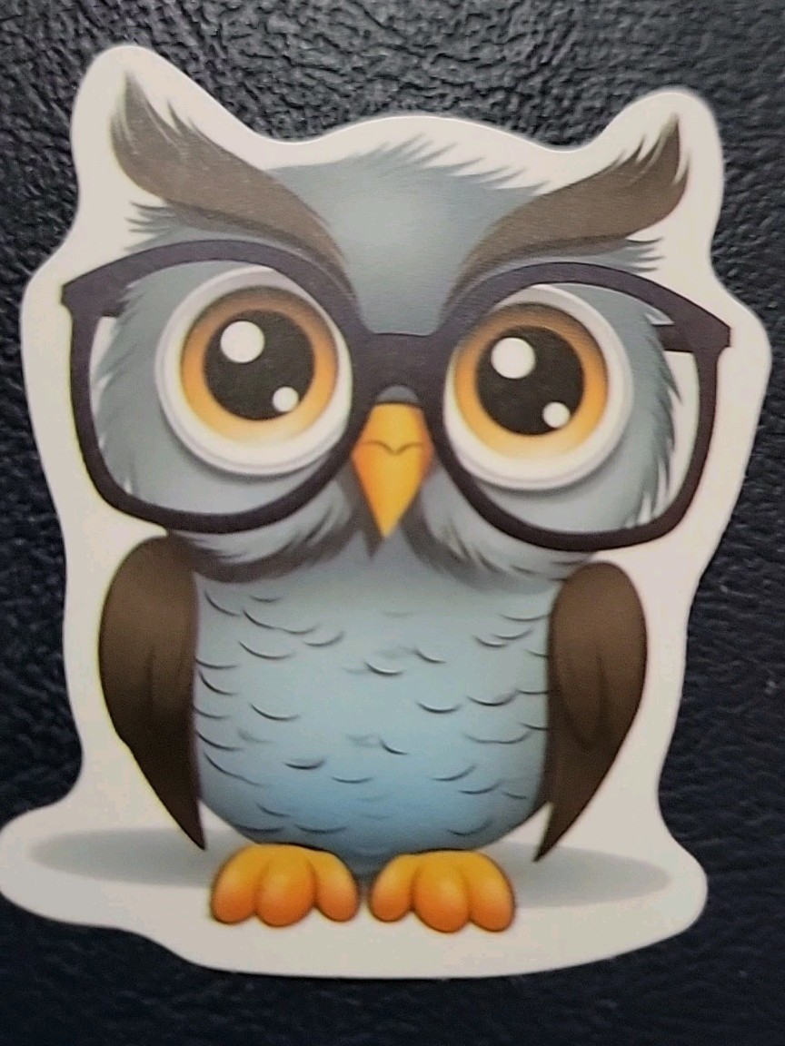 Lot Fun Owl Lover Stickers Varied Decals Laptop Collectible Share Birds Animals