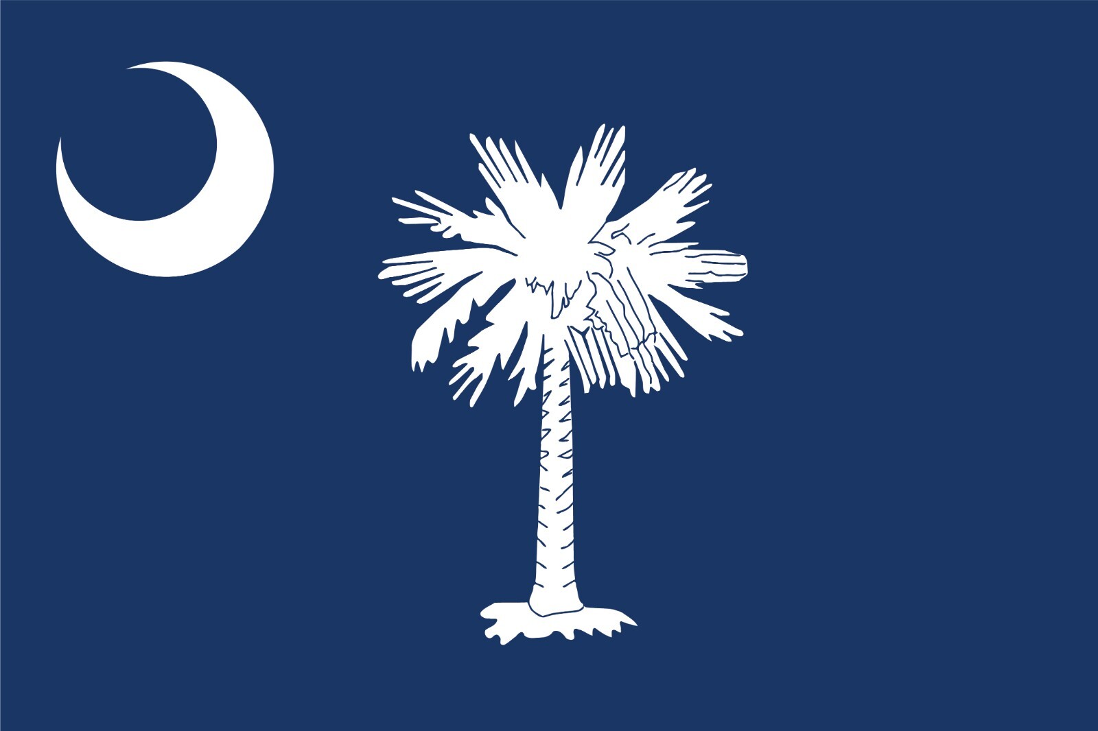 South Carolina State Flag Vinyl Decal Sticker Car Truck Bumper Laptop Mug