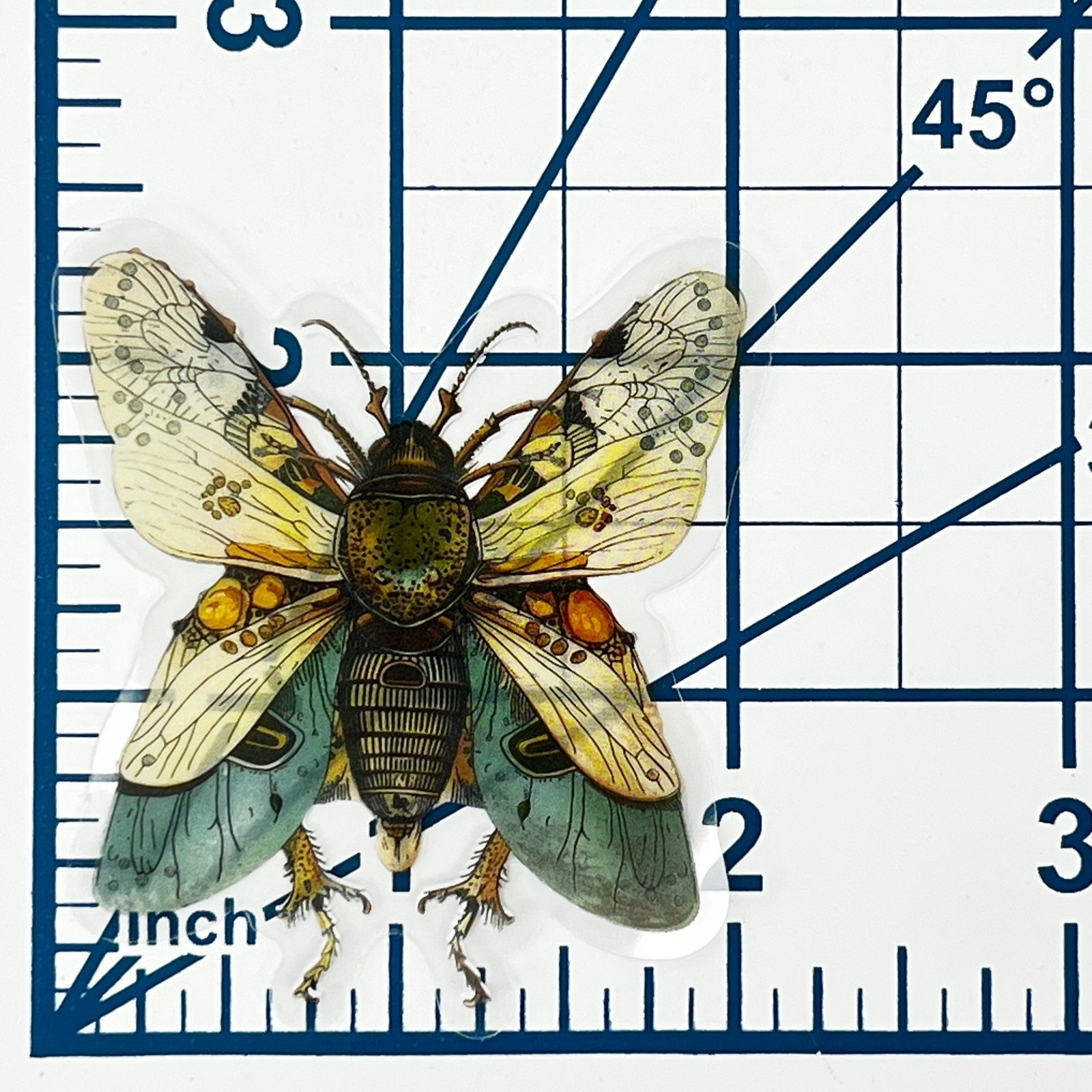 Victorian Cicada Beetle Transparent Vinyl Sticker Antique Insect Ephemera Art
