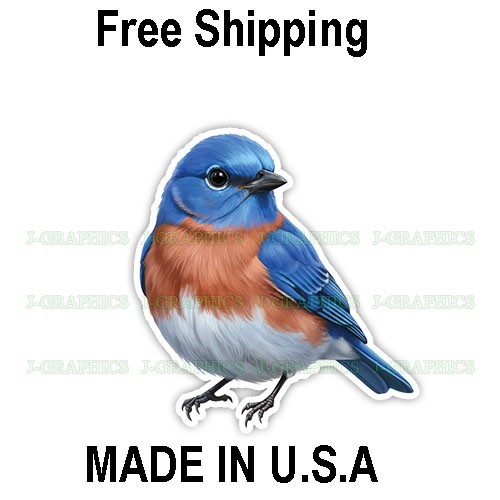 Missouri Eastern Bluebird Bird Vinyl Sticker Decal A
