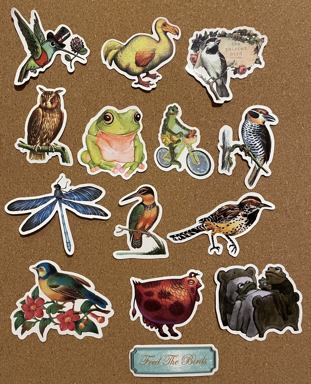 Animal Vinyl Stickers 21 Realistic & Silly Frog Toad Bird Water-Resistant Reward