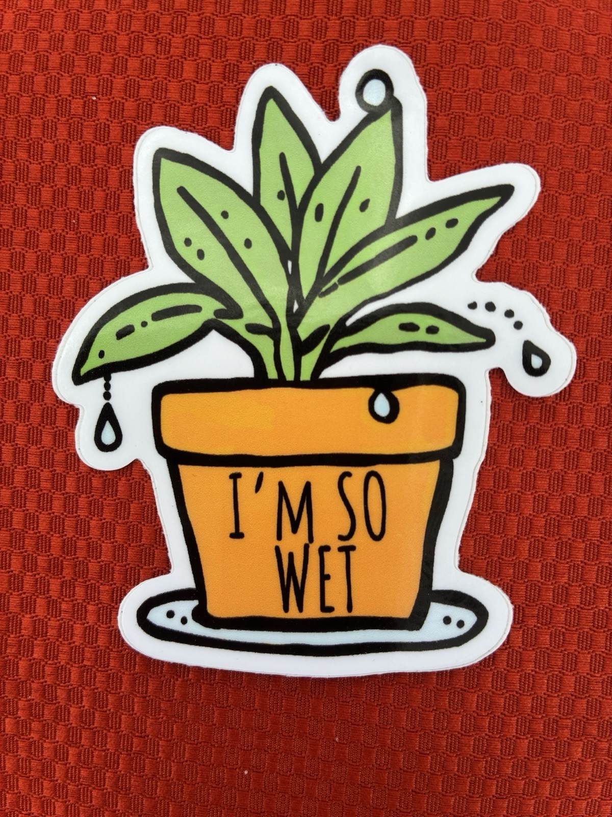 Plant Sassy Stickers Plant Lover 2×2.5in