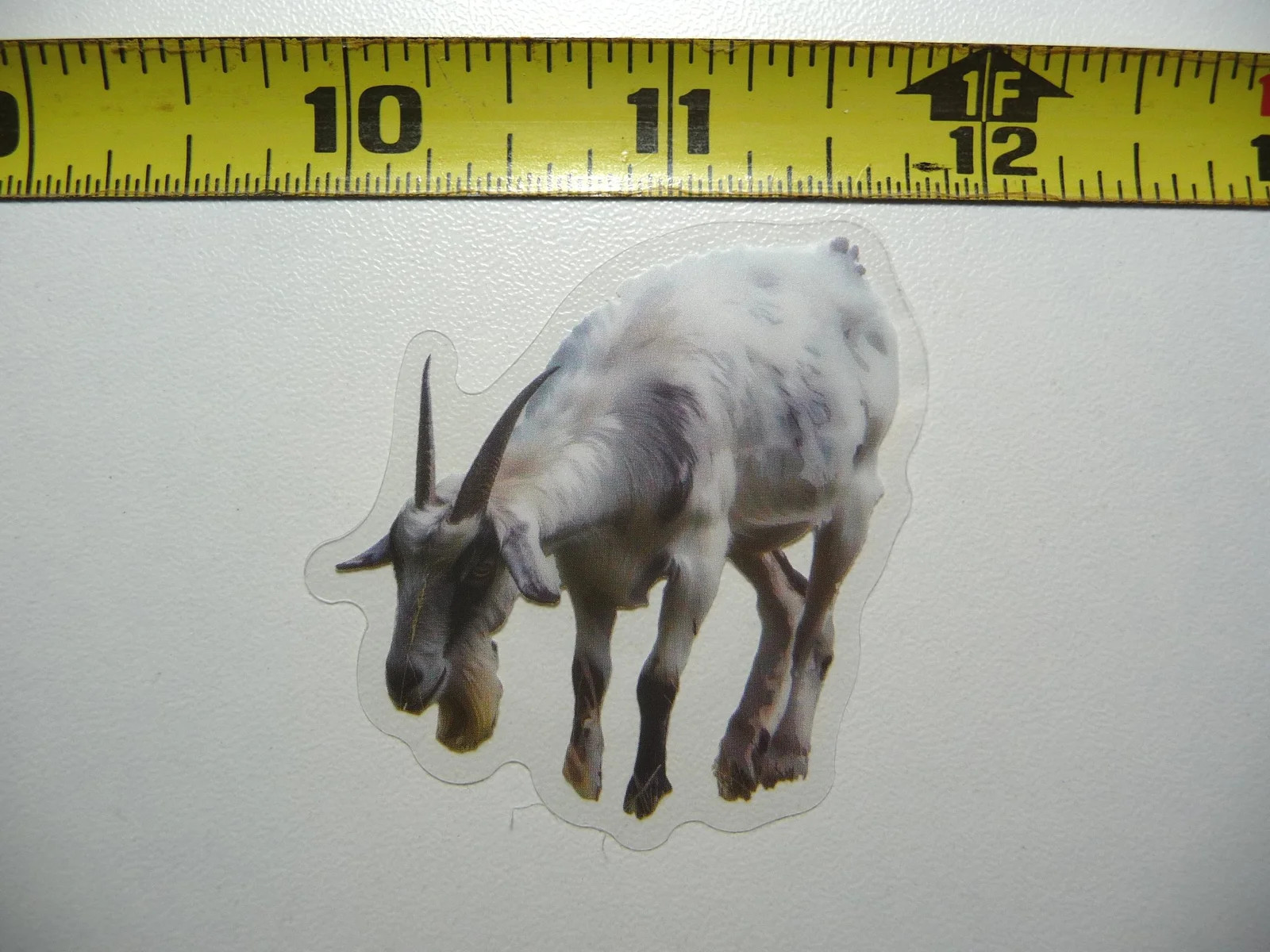 SAANEN GOAT PET SMALL STICKER DECAL WILDLIFE COLORFUL ZOO FUNNY