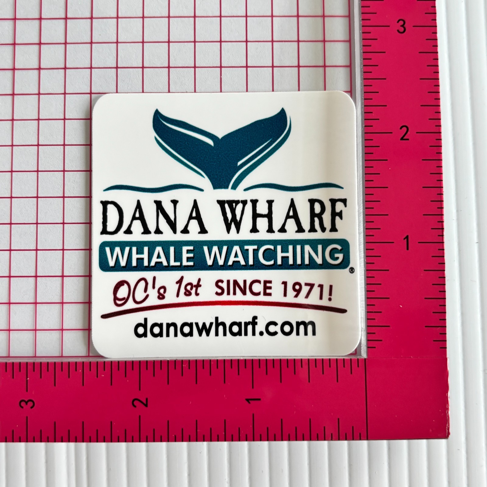 Dana Wharf Whale Watching Sticker Square 2.5in White
