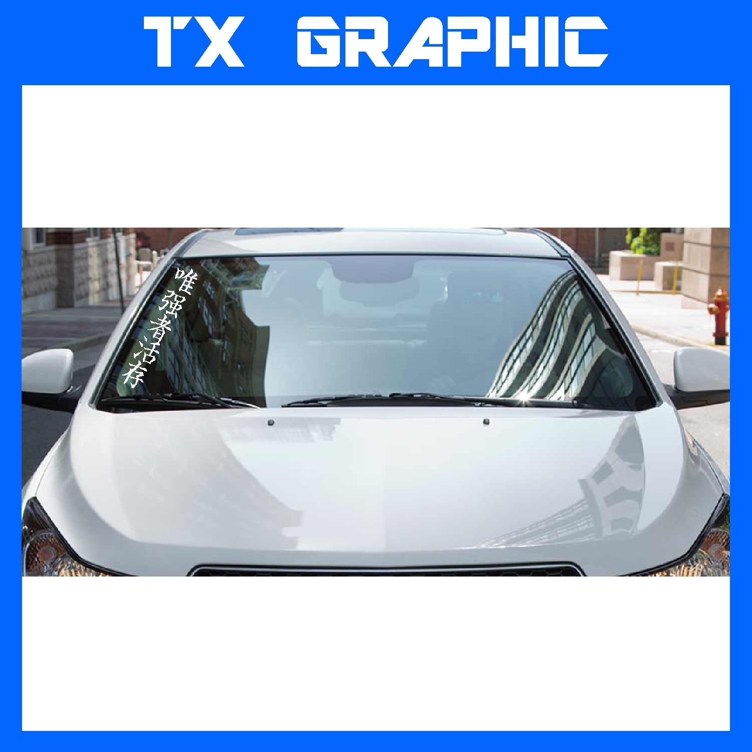 KANJI CHINESE CHARACTER STRONG SURVIVE STICKER VINYL LETTERING CUSTOM