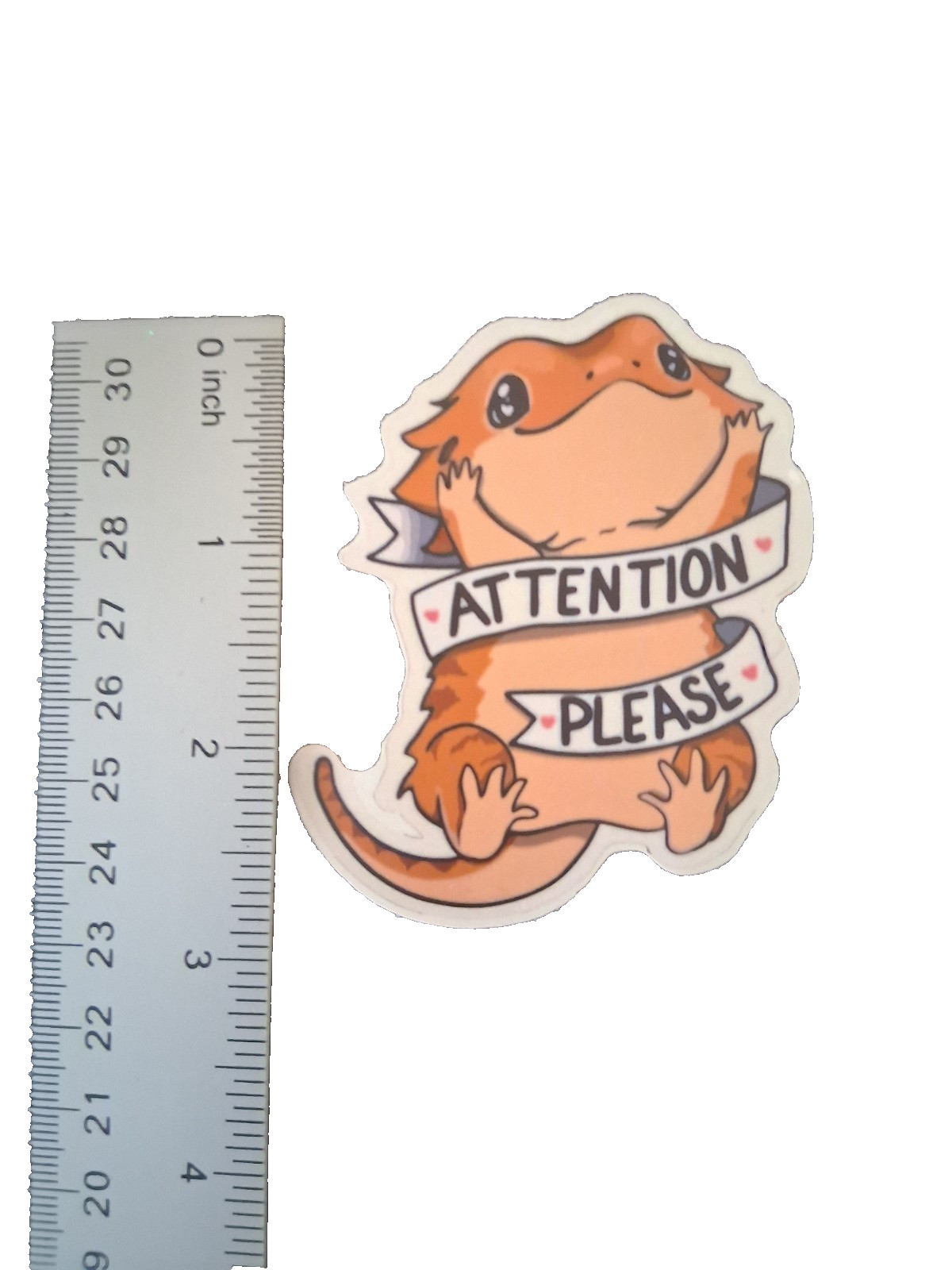 Bearded Dragon Sticker Decal 2.5" – “Attention Please” – Laptop, Notebook, Water