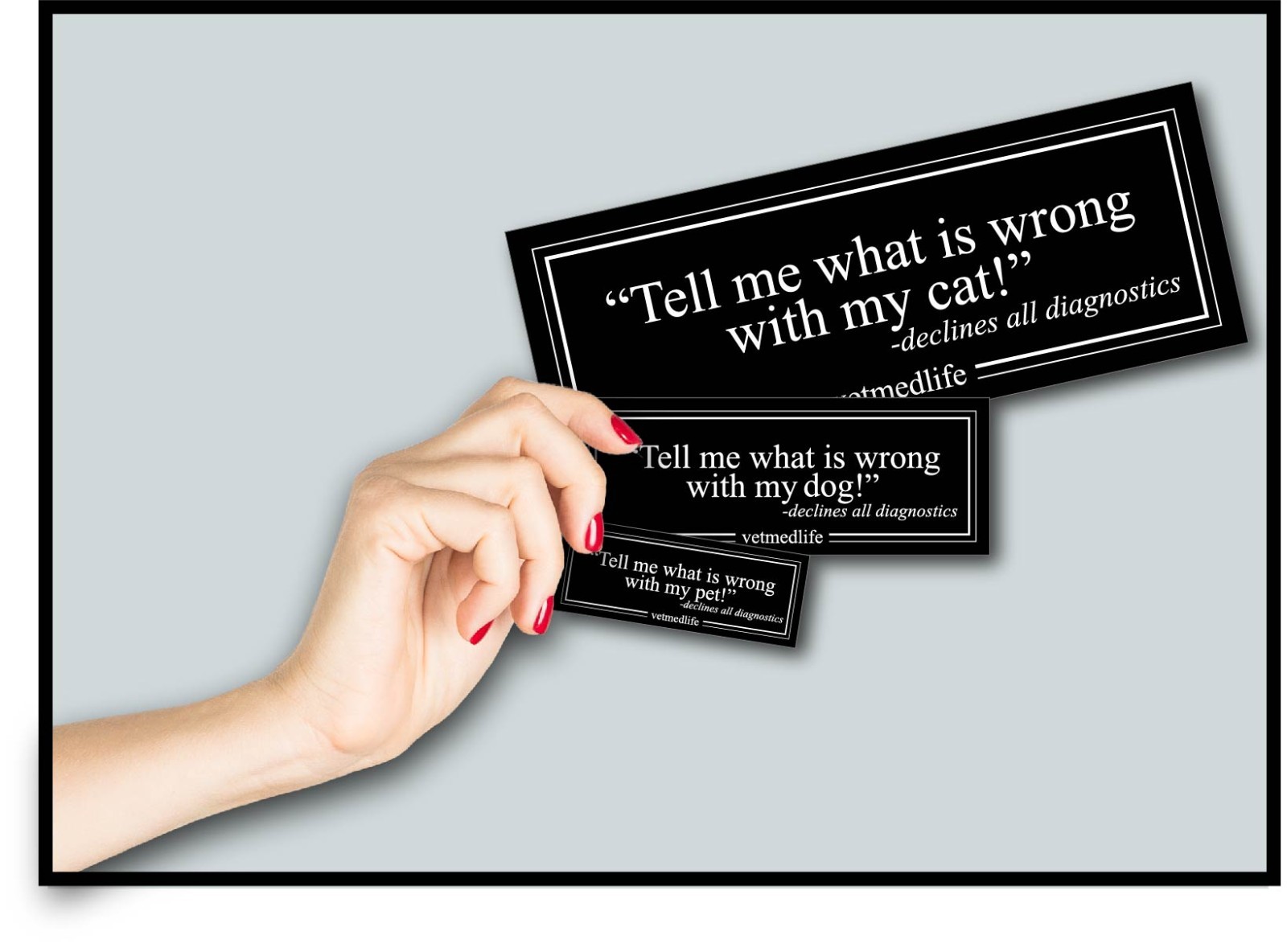 Decal Sticker Whats Wrong With My Pet Declines Diagnostics Vet RVT Med Life Dog