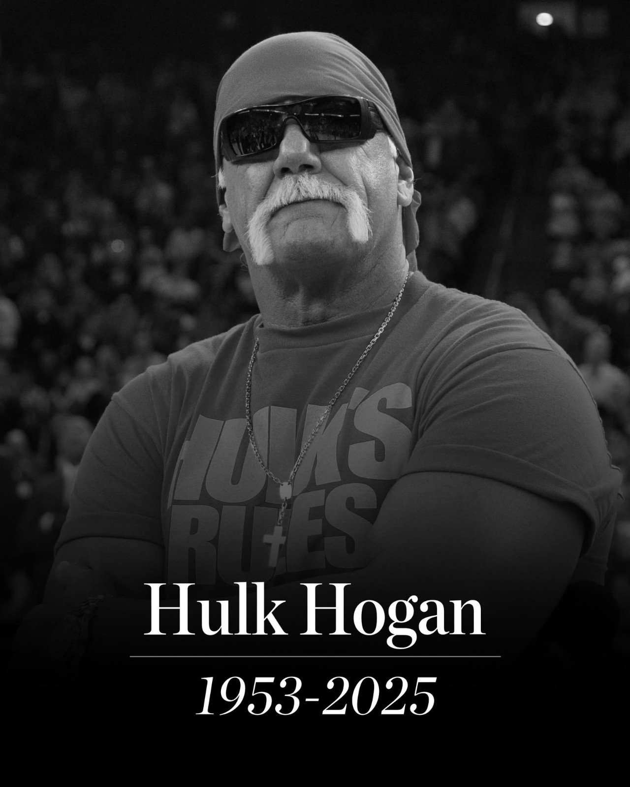 Hulk Hogan RIP Wrestling WCW Sticker Decal Laptop Wall Mirror Cup Tumblr Locker
