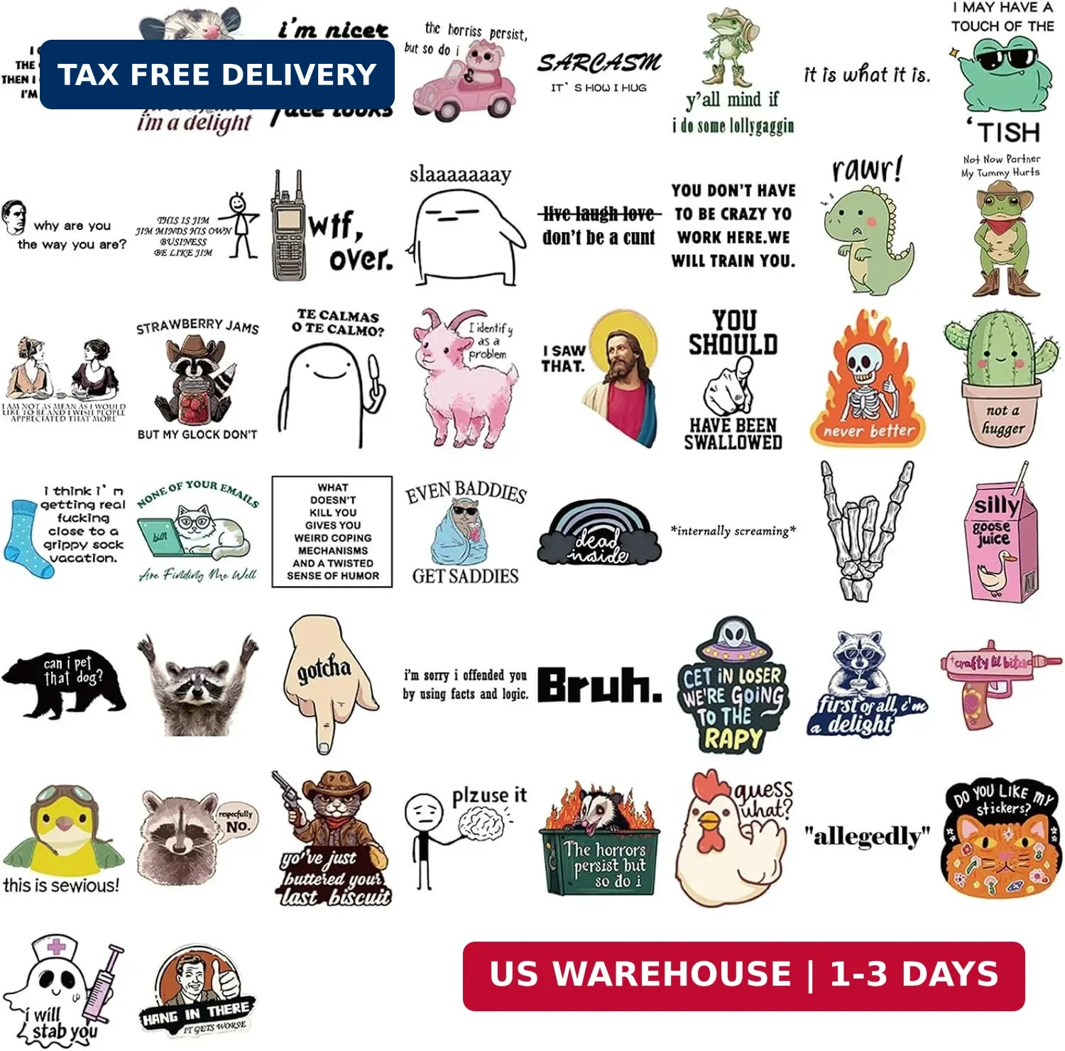 50Pcs Funny Meme Stickers Adults Dirty Sticker for Kids Teens Adults, Snarky Vin