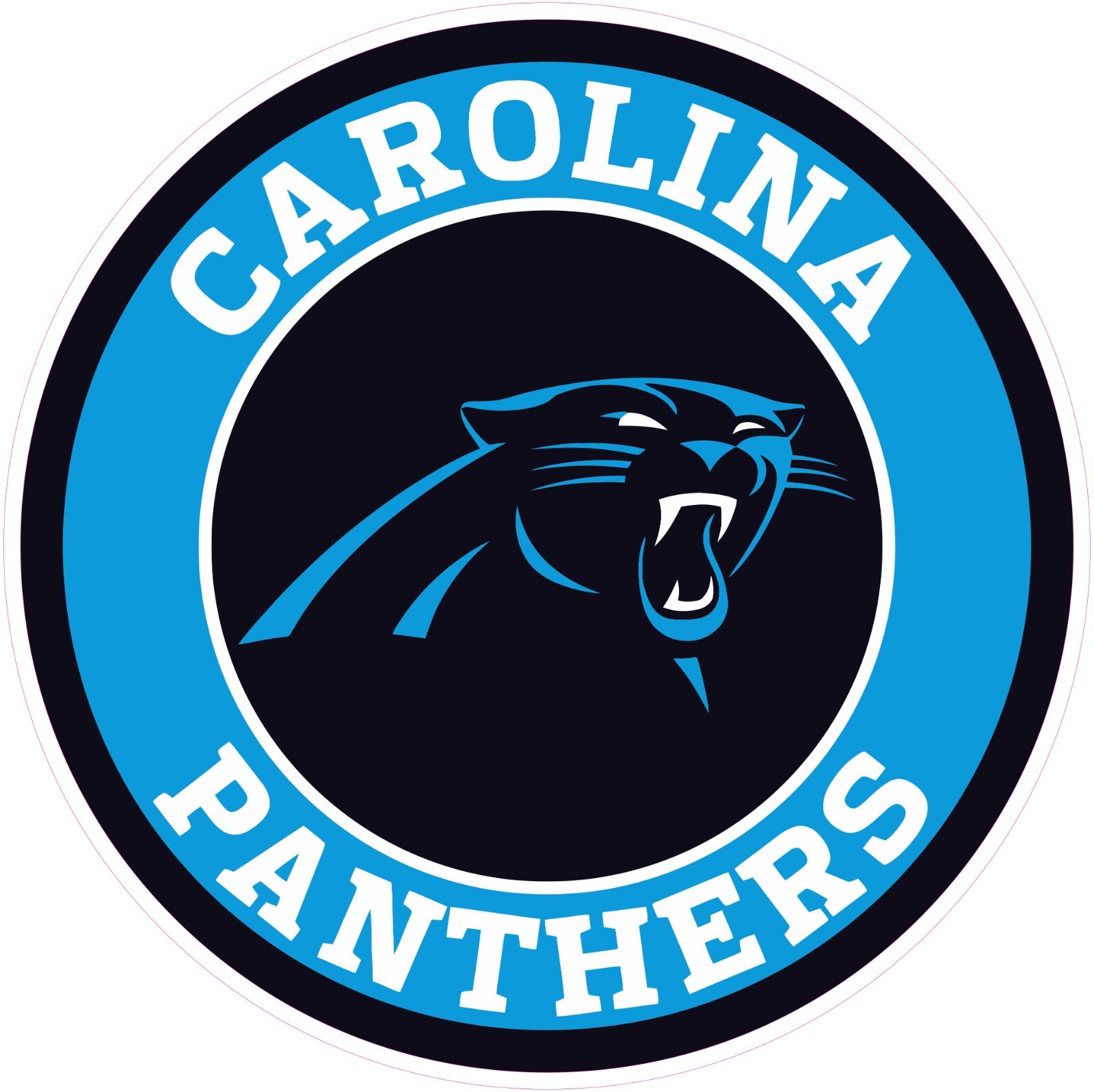 Carolina Panthers Football Vinyl Decal Sticker Car Truck Bumper Tumbler Mug