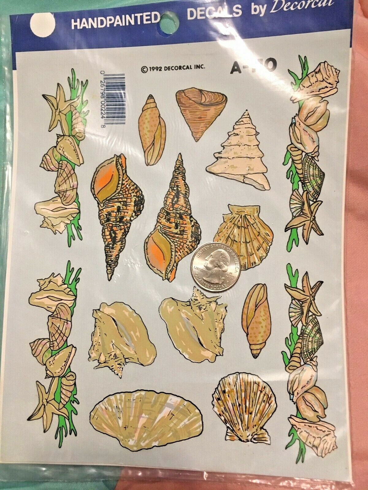 Vintage 1992 DECORAL DECALS – Seashells A-110 Water-slide Conch Scallop Nautical
