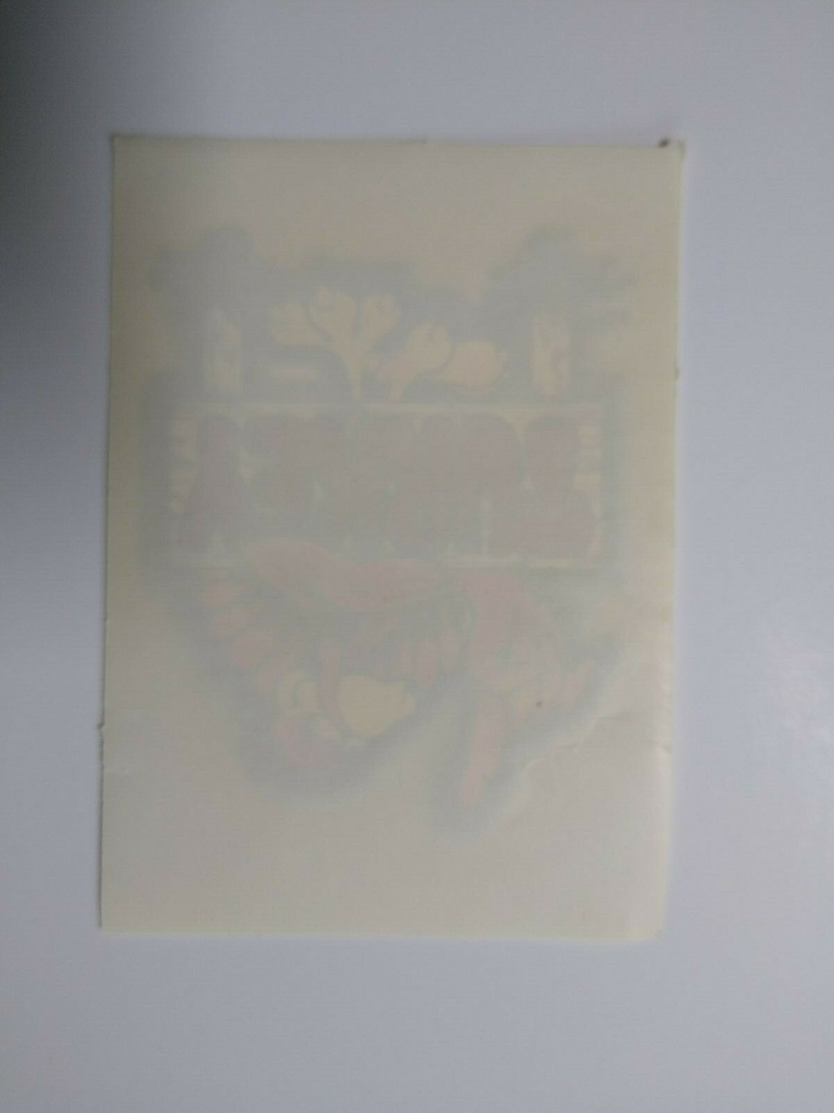 Turkey Screamin Gleamin Glitter Iron-On Decal Donruss Retro 1970's Groovy Cool