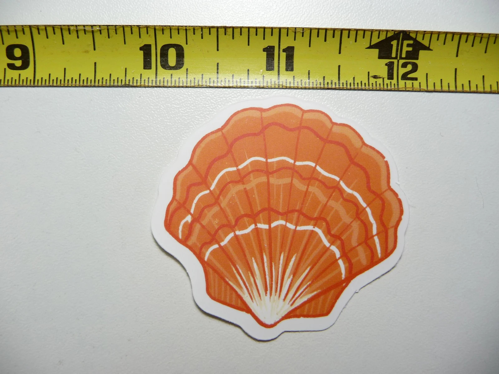 SCALLOP SEA SHELL HAWAII SMALL STICKER DECAL SCRAPBOOKING WALL VACATION