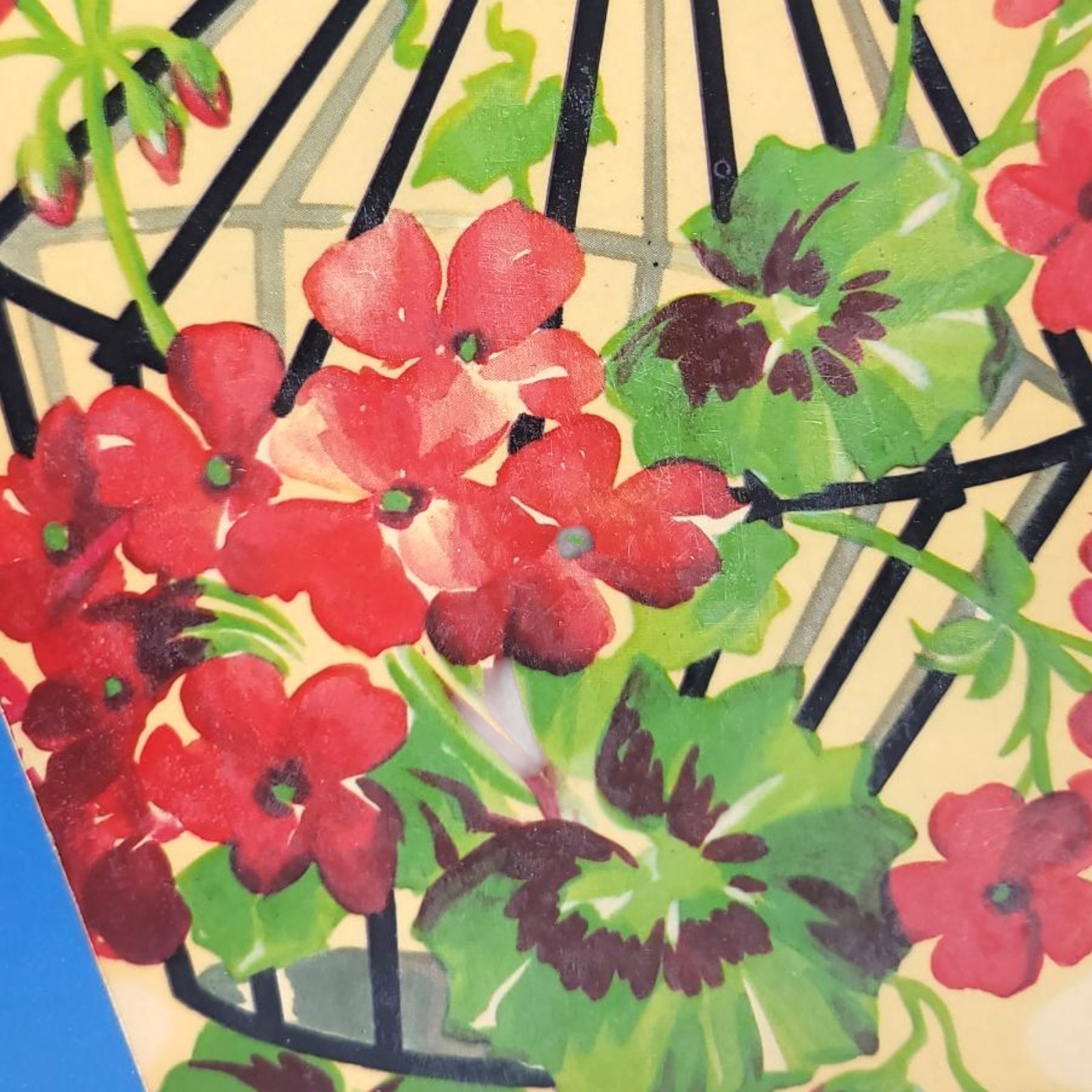 Vintage Meyercord Decorator Water Decal Floral Birdcage Geranium Tile Sticker