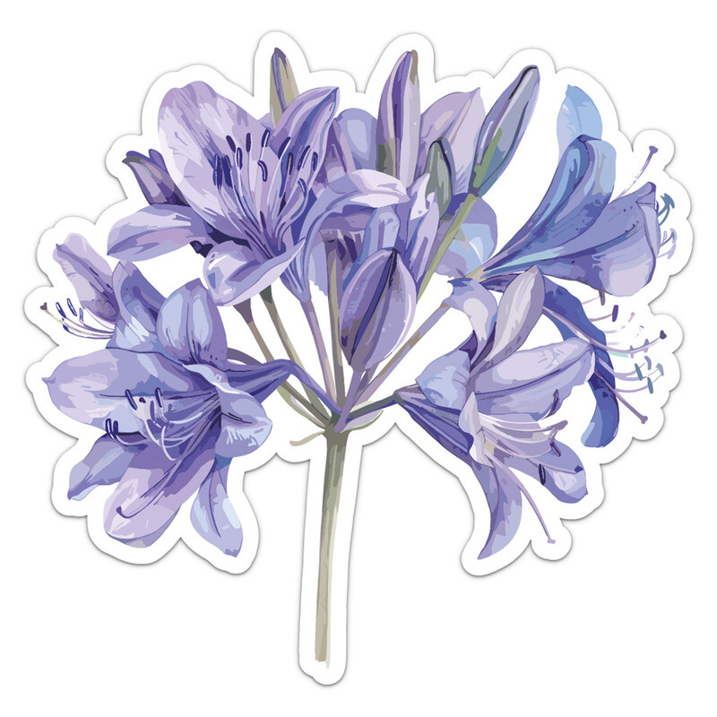 Watercolor African Lily Flower – Car Bumper Sticker Vinyl Art Decal