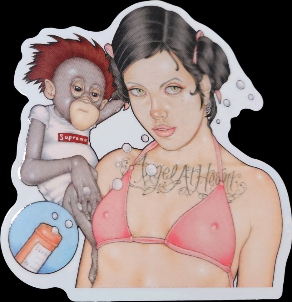 Supreme Sticker 3" Die Cut Gloss Skateboard Water Bottle Tablet Laptop Etc