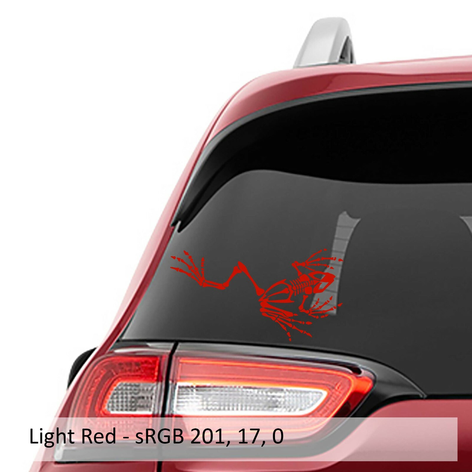 Bone Frog Skeleton Vinyl Decal