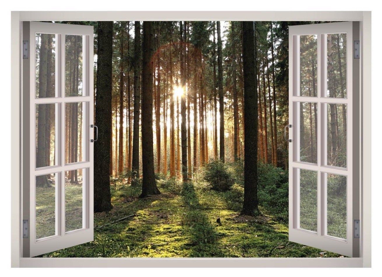 Forest Landscape View Window 3D Wall Decal Art Mural Decor Canvas Vinyl W125