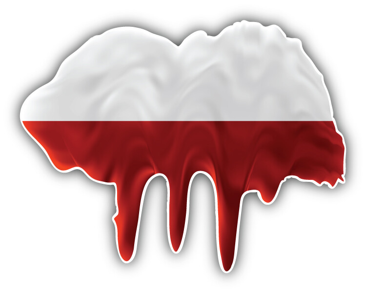 Poland Flag Blot Car Bumper Sticker Decal
