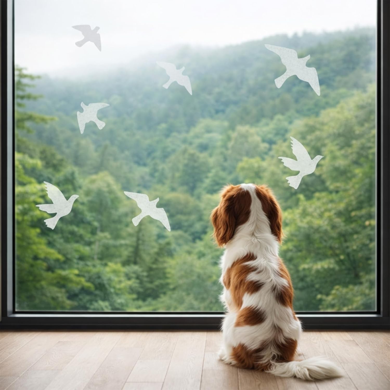 Easy Install Reflective Bird Window Stickers – Protect Your Feathered Friends