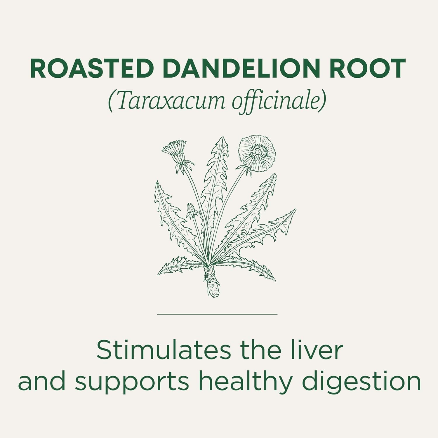 Organic Roasted Dandelion Root Tea – Supports Kidney Health & Digestion, 96 Bags