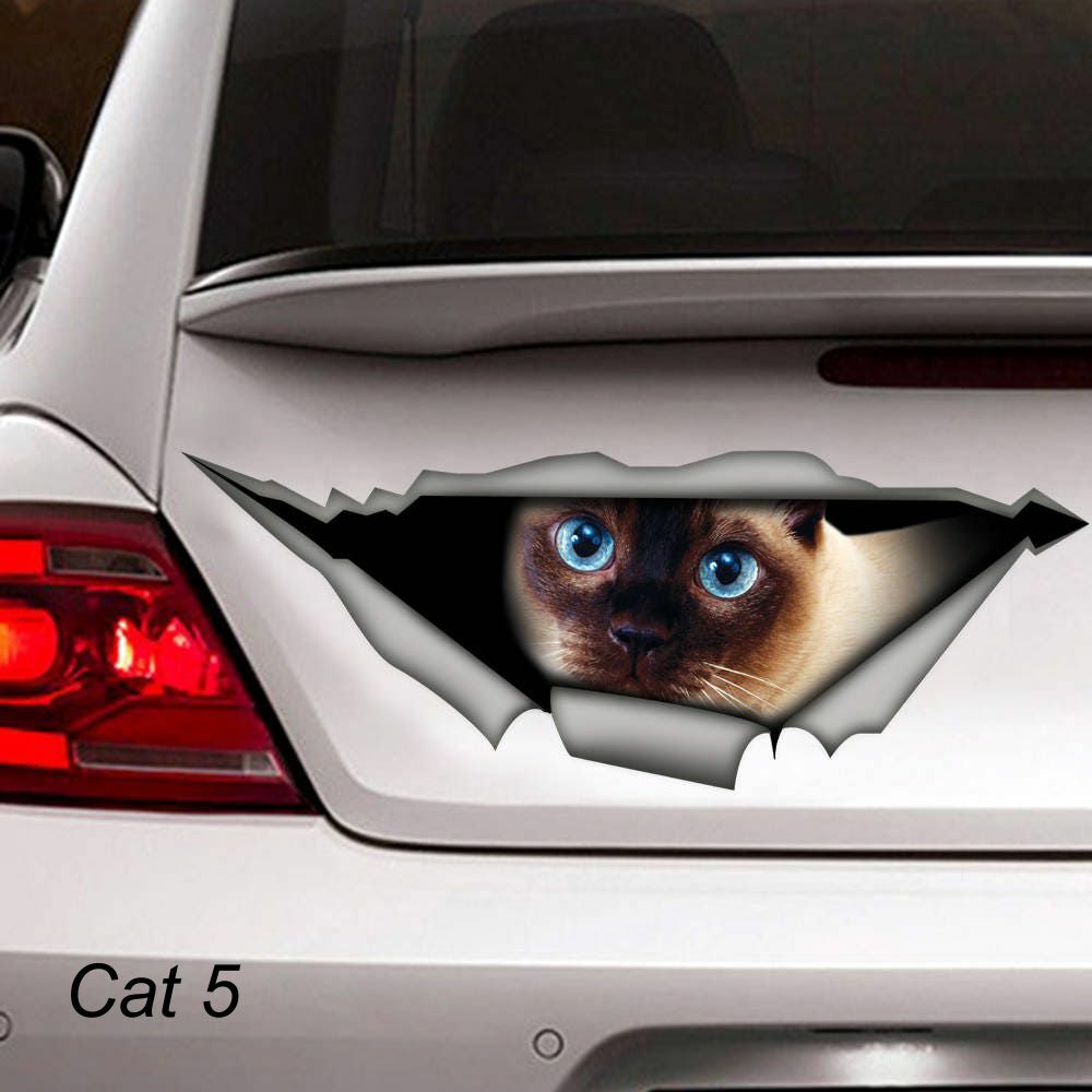 LARGE-SIZED CAR DECALS – CAT – 5 CHOICES