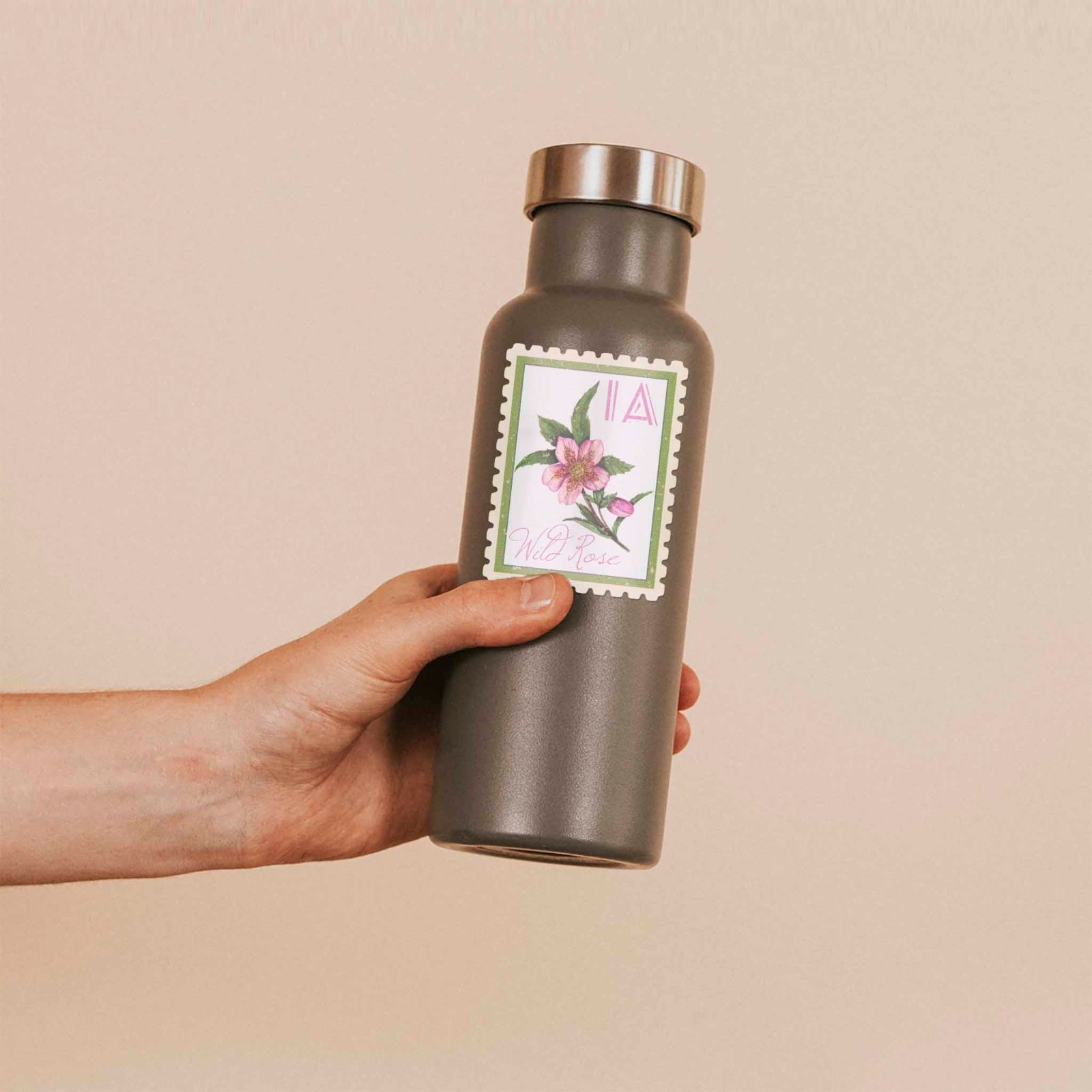 Iowa State Flower Wild Rose Sticker – IA Vintage Stamp Decal for Laptop, Thermos