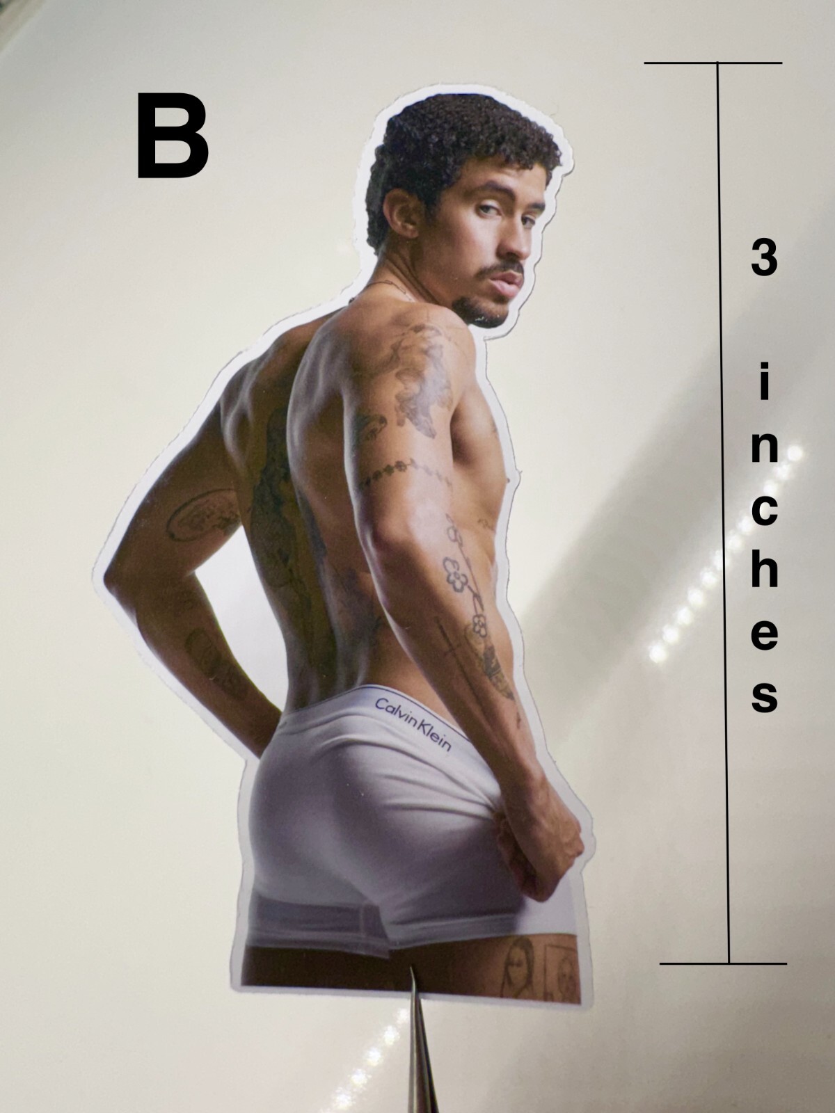 BAD BUNNY 3" STICKER CALVIN KLEIN SHIRTLESS PHOTO 3" DIE CUT STICKER FAN GIFT