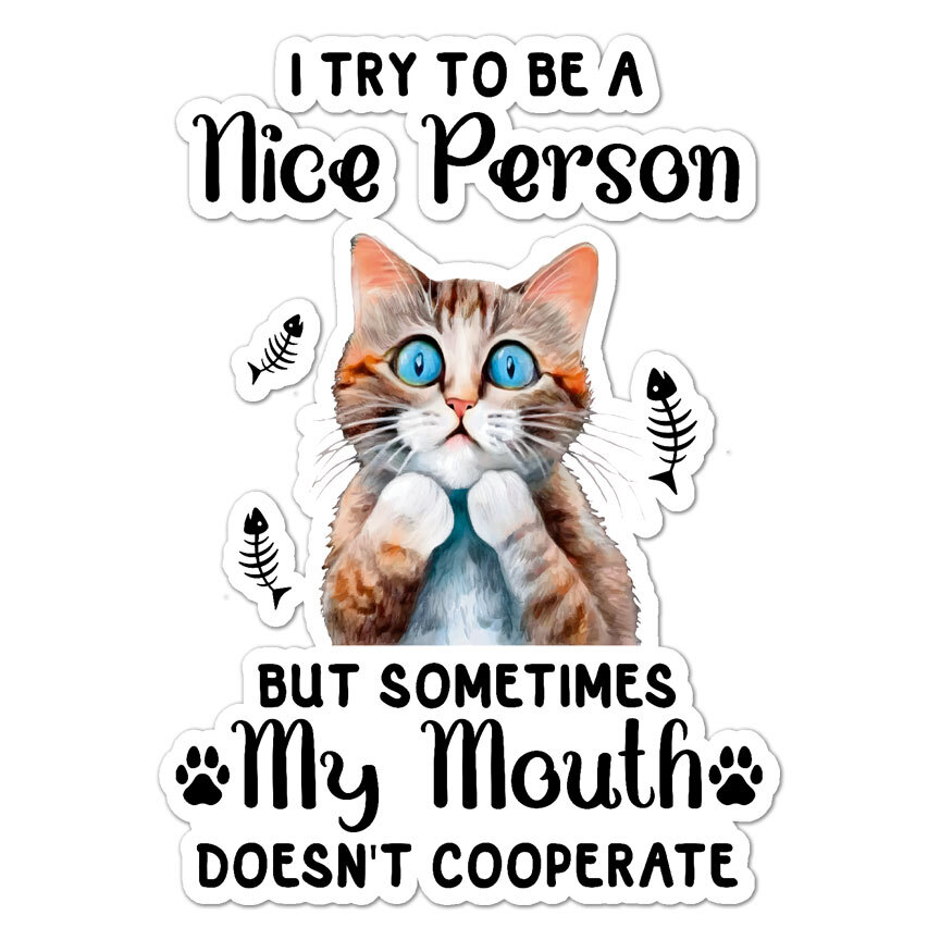 Try To Be Nice, Vinyl Decal Sticker, Indoor Outdoor, 3 Sizes, #9690