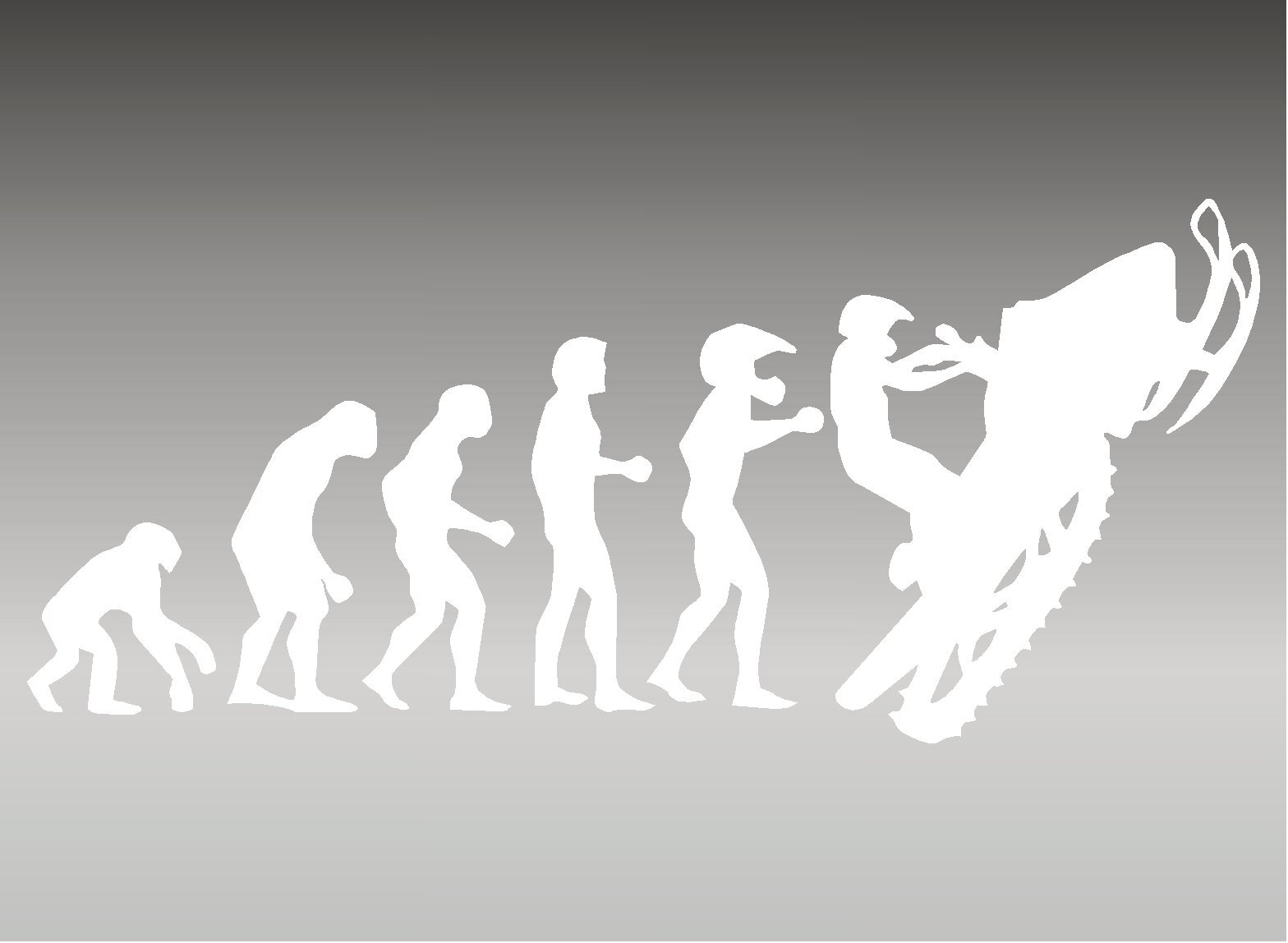 Evolution White Vinyl Sticker Decal 8" x 3.5" For Snowmobile Arctic Cat Ski Doo