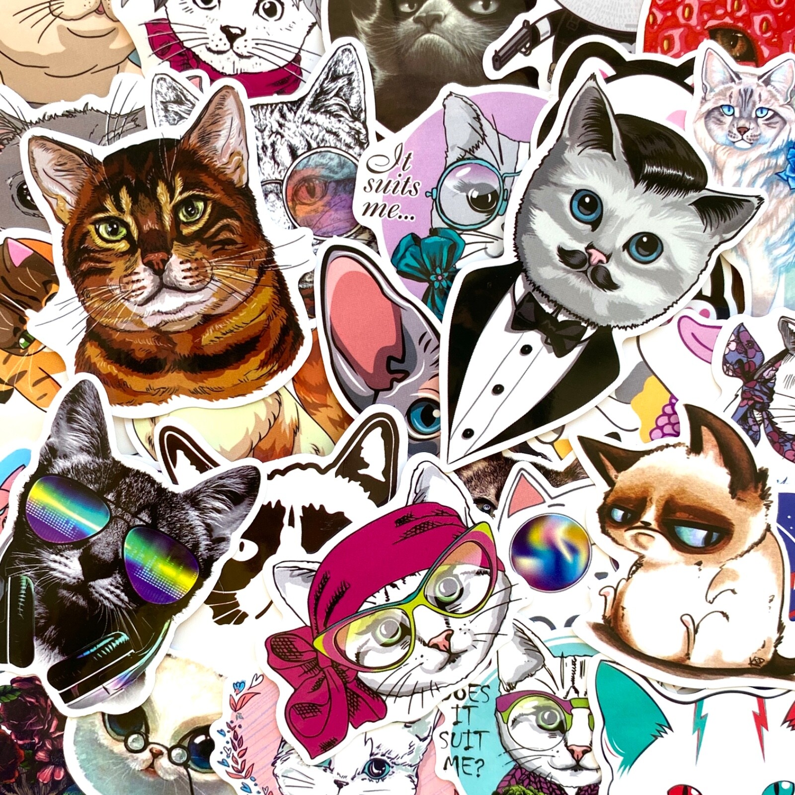 5-50 pcs Cat Meme Stickers, Cat Lover Gifts, Cute Funny Sad Fat Cat Vinyl Decals