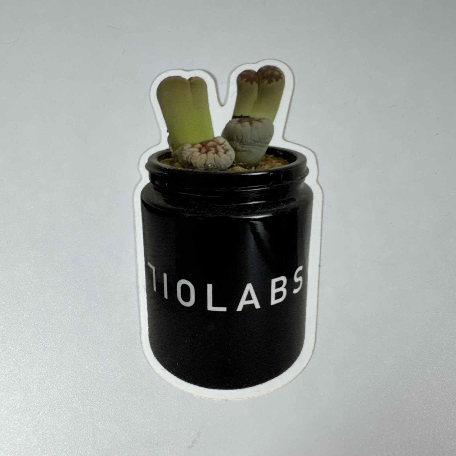 710 LABS – 710Labs Succulent Jar Sticker – 2.25×4 Inches