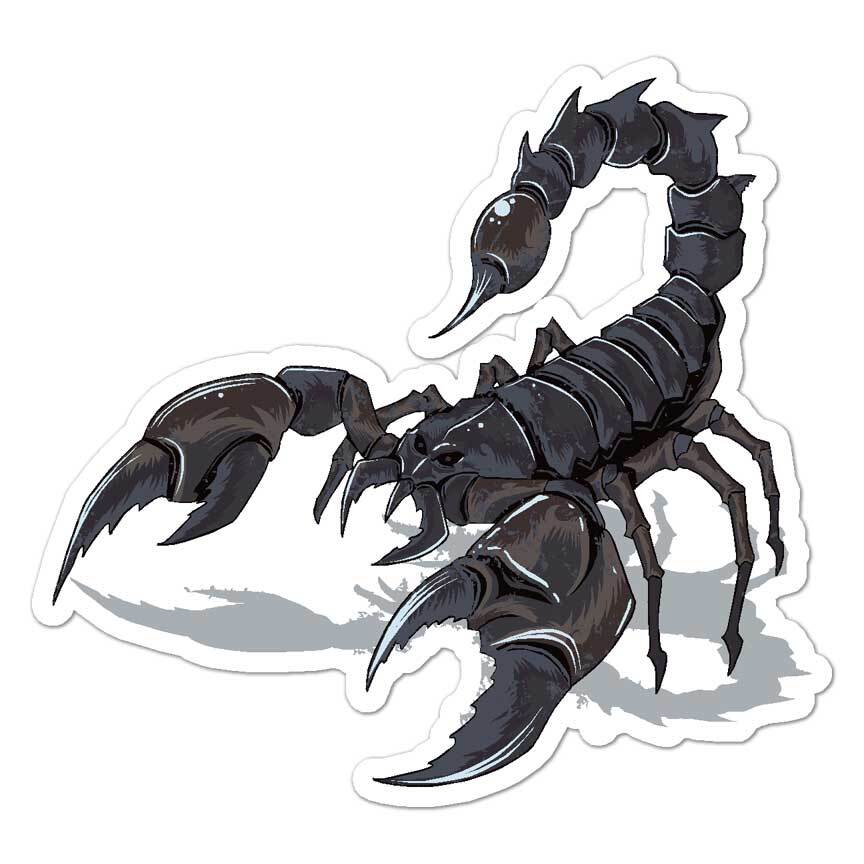 Scorpion, Vinyl Decal Sticker, Indoor Outdoor, 3 Sizes, #7947