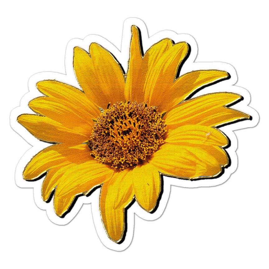 Vintage Sunflower, Vinyl Decal Sticker, Indoor Outdoor, 3 Sizes, #8847