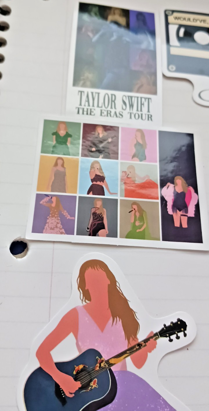 Taylor Swift Stickers 10 pcs. Party Favors , Water Bottle, Decor, Music FAN #4