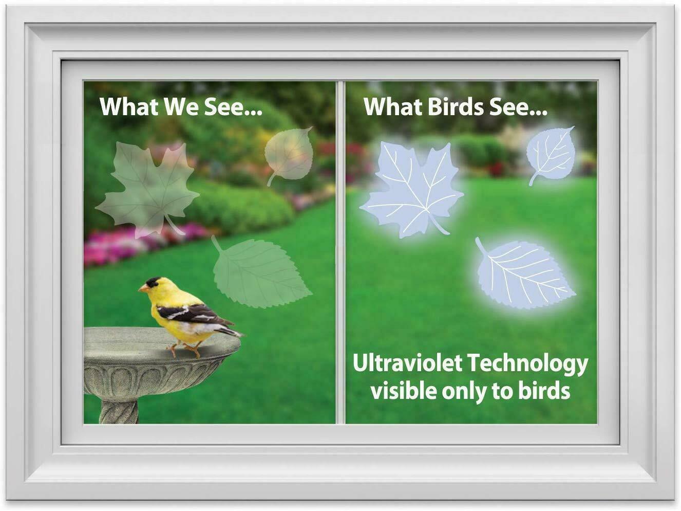 Stop Birds Hitting Windows