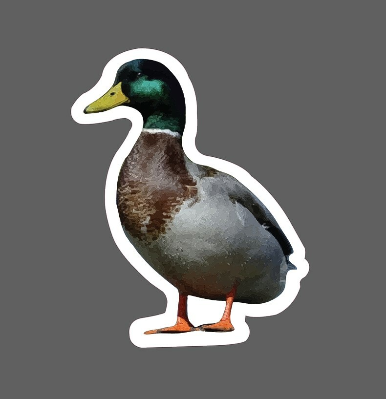 Duck Sticker Mallard Realistic Waterproof – Buy Any 4 For $1.75 Each Storewide!