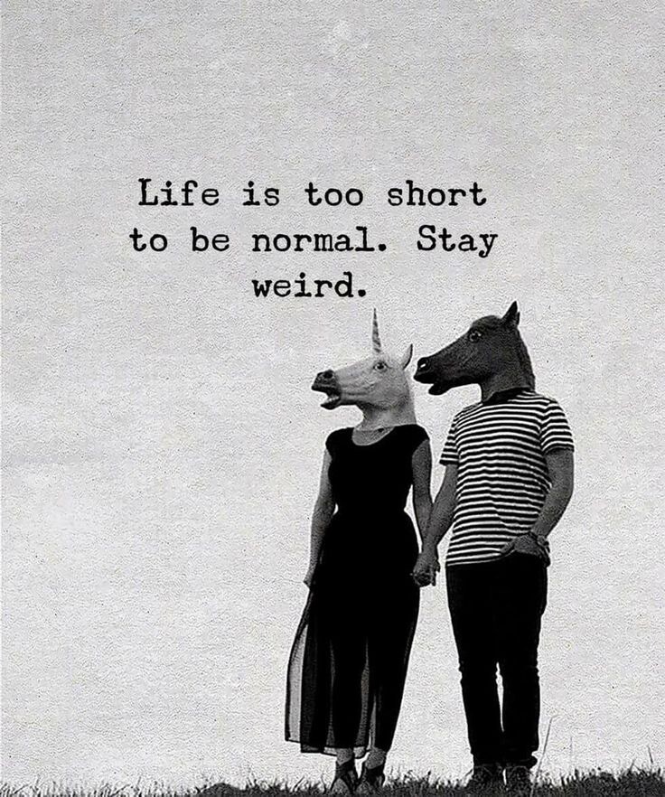 Stay Weird Sticker 3” Life Us Too Short To Be Normal Funny Relationship Love