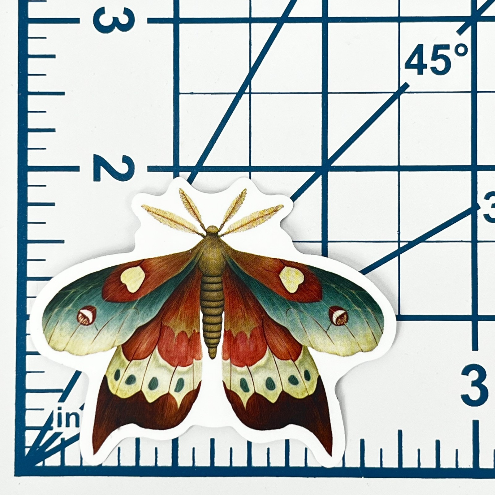Io Moth Vinyl Sticker Vintage Butterfly Insect Journal Laptop Scrapbook Craft