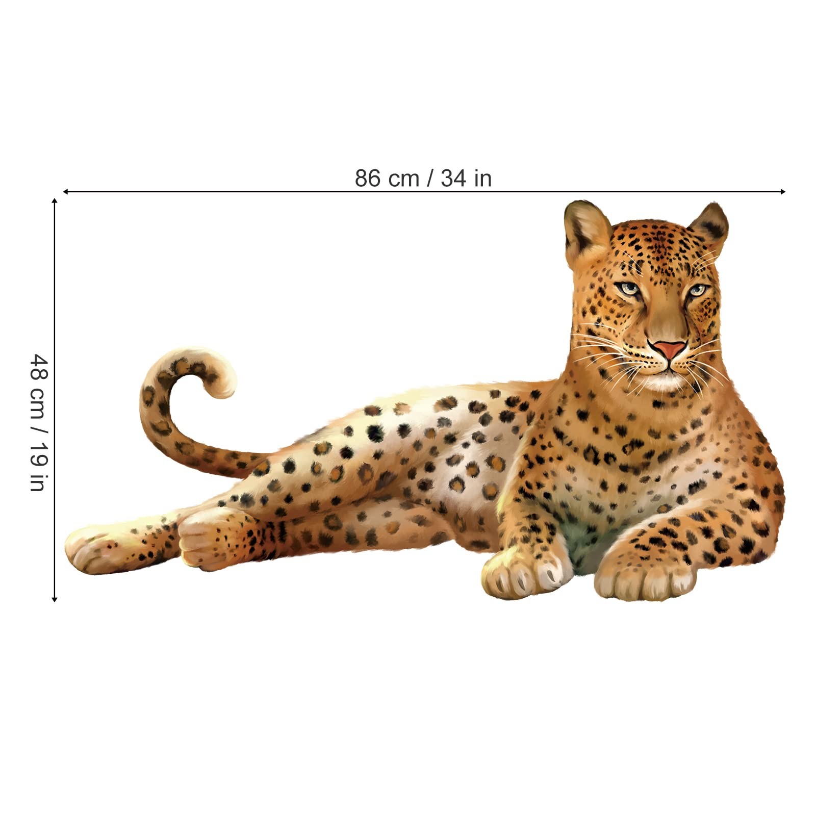 Safari Leopard Wall Stickers Jungle Animals Cheetah Peel and Stick Wall Art D…
