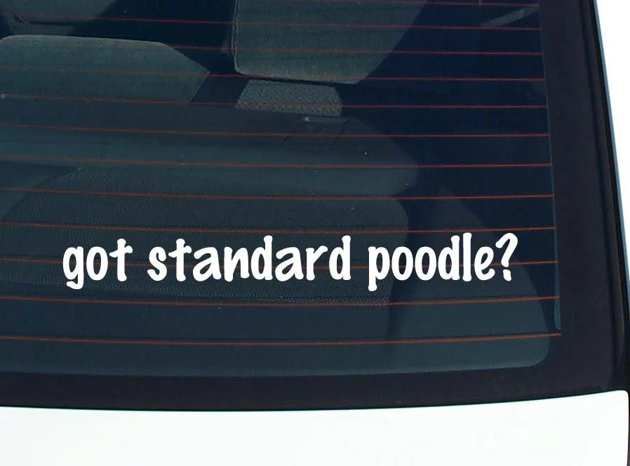 got standard poodle? CAR DECAL BUMPER STICKER VINYL FUNNY JOKE WINDOW