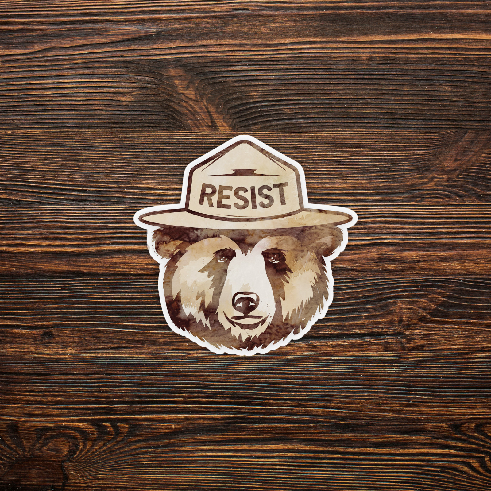 Resist Bear Watercolor Sticker – Defiant Brown Bear Face in Ranger Hat Decal #41