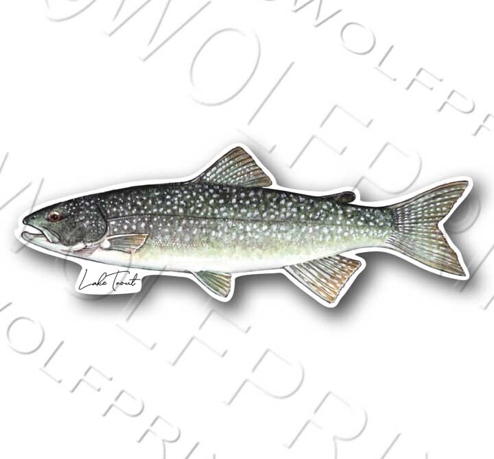 Northern Pike Fish Sticker 6" or 11" Wide Walleye Bass Boat Car Window Decal