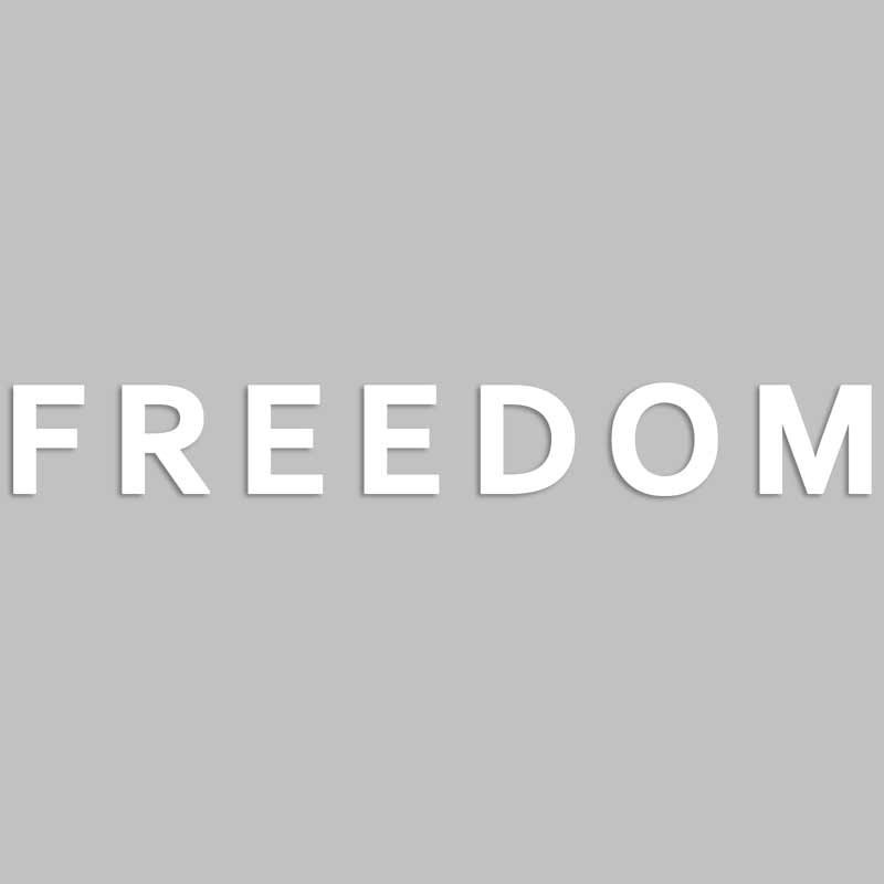 FREEDOM Vinyl Decal Sticker – Weatherproof Die Cut – Inspired Charlie USA Faith